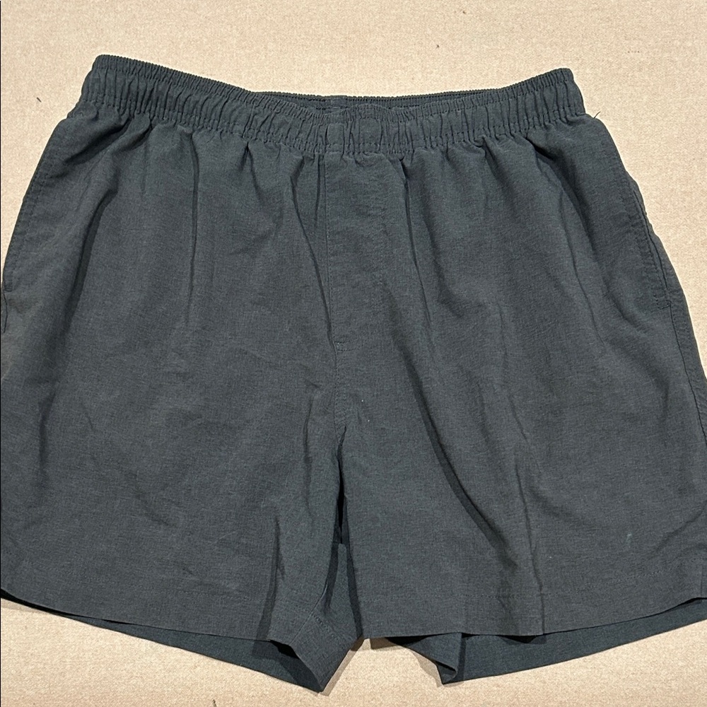 Chubbies Dark Gray Men's Shorts